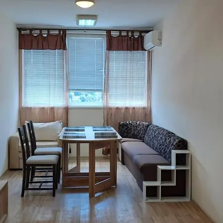 Tanya's Flat Apartment